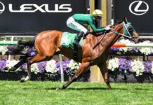 CQ-owned filly on track for autumn preparation