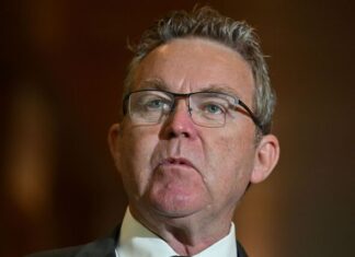 Boyce’s spill motion fails, Littleproud remains leader