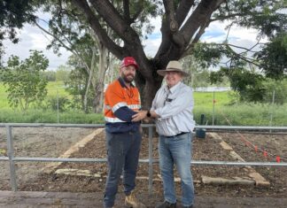 Fresh voice for Collective