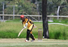 Case shuts down Brothers