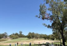 The region’s golf results