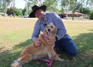 Council lending an ear