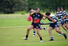 Clermont wins on home ground