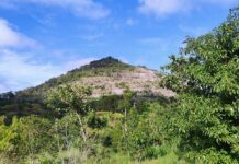 Collaborative vision charts new path for Mount Etna’s future