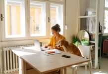 Your internet just leveled up