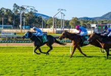 Retired cult hero Master Jamie teaching new lessons