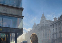 Slow down and look closer at RMOA