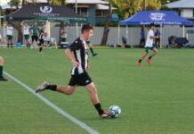 Bears hunt down Magpies