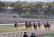 Bumper day of racing in store at Springsure
