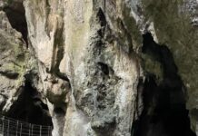 Capricorn Caves unveils new accessible path
