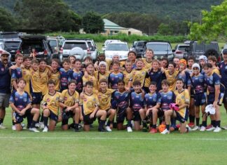 Seagulls call for major upgrade