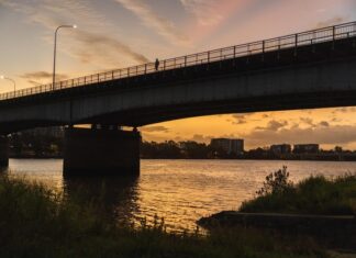 Fitzroy expeted to peak near 7m next week