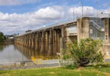 Letters to the Editor