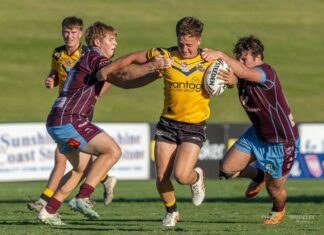 CQ cut down on the road