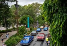 How to make the most of Rockynats