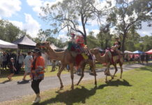 Celebration of country life