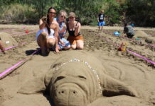 Out and about at Festival of the Wind