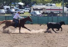 Shows are feeling the strain