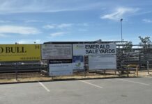 Mixed quality at Emerald sale