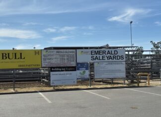 Mixed quality at Emerald sale